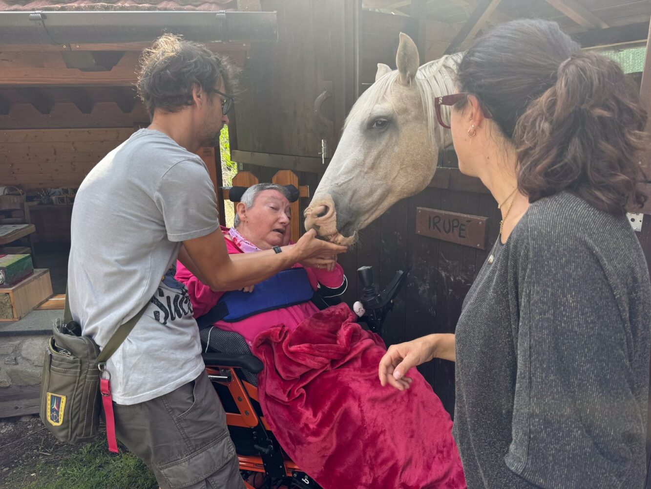 Una persona in carrozzina accarezza un cavallo durante un laboratorio in fattoria