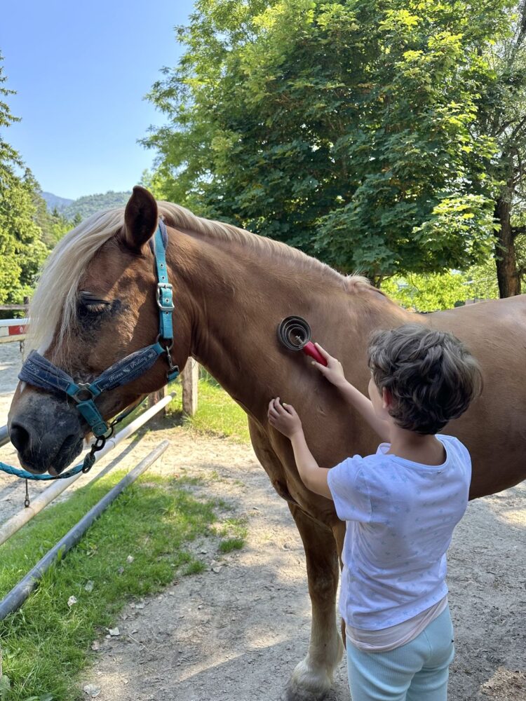 Un bambino si prende cura di un cavallo durante un’attività di terapia occupazionale